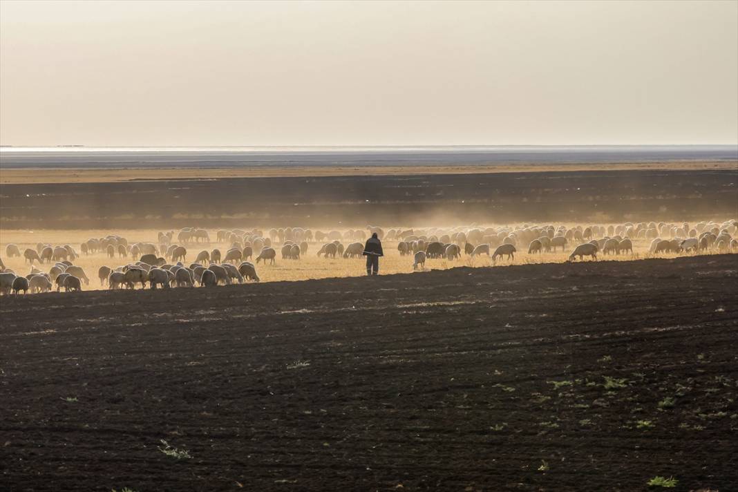 Kavurucu sıcaklar Tuz Gölü'nü kızarttı! Bakteriler cirit atıyor 11